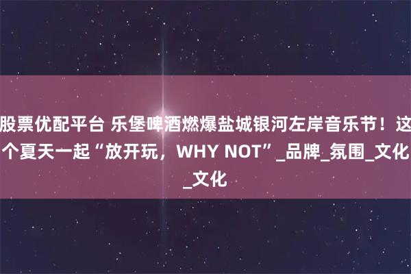 股票优配平台 乐堡啤酒燃爆盐城银河左岸音乐节！这个夏天一起“放开玩，WHY NOT”_品牌_氛围_文化